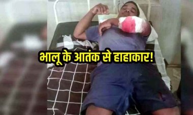 जंगल में फुटू लेने गए ग्रामीणों पर भालुओं का हमला, तीन घायल, दो की हालत नाजुक, वन विभाग ने ग्रामीणों से किया विशेष सतर्कता बरतने की अपील