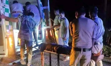 आधी रात भीषण सड़क हादसा: पिकअप और ट्रक की जोरदार टक्कर, चीख पुकार, 3 मजदूरों की दर्दनाक मौत, 7 की हालत नाजुक, परिजनों में पसरा मातम