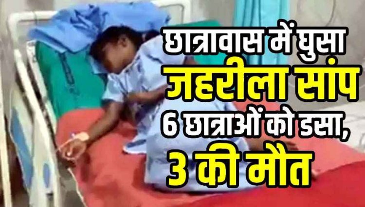 छात्रावास में आधी रात घुसा जहरीला सांप, सो रही 6 छात्राओं को डसा, 3 की मौत, मची अफरा-तफरी, परिजनों में पसरा सदमा, इलाके में दहशत का माहौल