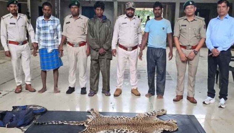 तेंदुए की खाल के साथ पकड़े गए तस्कर, तीन आरोपियों को गिरफ्तार कर भेजा जेल, गश्त के दौरान वन विभाग की बड़ी कार्रवाई, दो बाइक भी जब्त