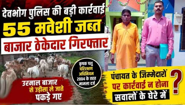 गरियाबंद जिला में गौ तस्करी, 55 मवेशियों को किया गया बरामद, तस्करी के मामले में बाजार ठेकेदार गिरफ्तार, 1 आरोपी फरार, पंचायत की भूमिका पर उठे सवाल