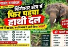 फिंगेश्वर क्षेत्र में फिर पहुंचा हाथी दल, आसपास के गांवों में बढ़ाई गई सतर्कता, ग्रामीणों में दहशत का माहौल. वन विभाग ने जारी किया अलर्ट