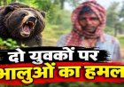 धमतरी में दो युवकों पर 4 भालुओं ने किया हमला, बाल-बाल बची एक की जान, दूसरा गंभीर, पोंड, कूटेना और कुकदा के ग्रामीणों को सतर्क रहने की सलाह
