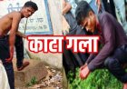 दूसरे गांव जाकर हसिए से काटी खुद की गर्दन और लहूलुहान हालत में सड़क पर घूमता रहा युवक, इलाके में फैली सनसनी, अस्पताल में भर्ती, जांच में जुटी पुलिस