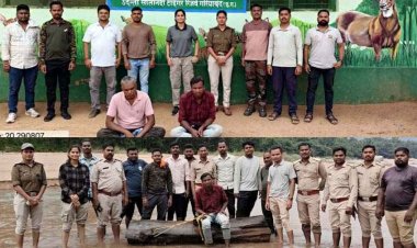 पुष्पा बनने निकले सागौन तस्कर! नदी में लकड़ी छिपाकर ओडिशा भेजने की प्लानिंग फेल, स्मार्ट सर्विलांस ने खोला पूरा राज, 3 स्मगलर गिरफ्तार