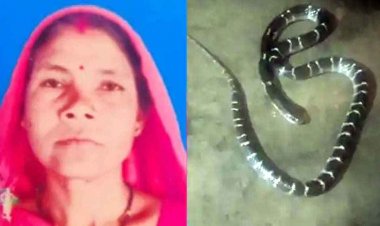 जमीन पर सो रही महिला सरपंच को सांप ने डसा, परिवार में मचा हड़कंप, देर रात परिजन लेकर पहुंचे अस्पताल, इलाज के दौरान मौत, गांव में शोक का माहौल