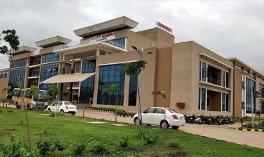 ट्रांसफर के बाद भी कुर्सी से ‘फेविकोल’ सा चिपकाव: शासन के आदेशों की उड़ीं धज्जियां, DFO और सस्पेंड होने से बचे अफसरों की ‘सांठ-गांठ’ से उठी बगावत की बू!