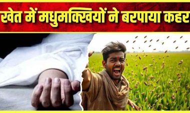 मधुमक्खियों के जानलेवा हमले से बचने भागा युवक, खेत के पानी में डूबा मिला बेटी के घर मदद करने आए किसान का शव, परिजनों का रो-रोकर बुरा हाल
