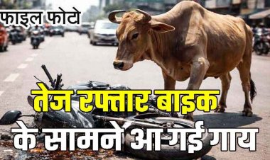 तेज रफ्तार बाइक के सामने आ गई गाय, बचाने की कोशिश में फेंसिंग से टकराई बाइक, दो की दर्दनाक मौत, 2 घयल, एक की हालत नाजुक, इलाज जारी
