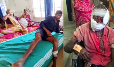 गरियाबंद में भालुओं का आतंक, एक ही दिन में दो जगह हमले, चार भालुओं ने 2 ग्रामीणों को किया गंभीर घायल, 1 रायपुर रेफर, इलाकों में दहशत का माहौल