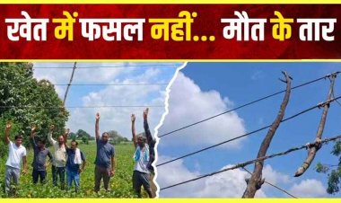 खेत में फसल बचाने लगाए करंट वाले तार की चपेट में आई फुटू निकालने गई 12 साल की बच्ची, मौके पर मौत, परिवार में पसरा मातम, कार्रवाई की मांग