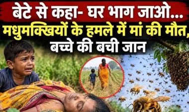 खेत में काम कर रही महिला पर मधुमक्खियों के हमला, तीन घंटे बाद तोडा दम, मरने से पहले 6 साल के बेटे की मां ने बचाई जान, गांव में शोक का माहौल