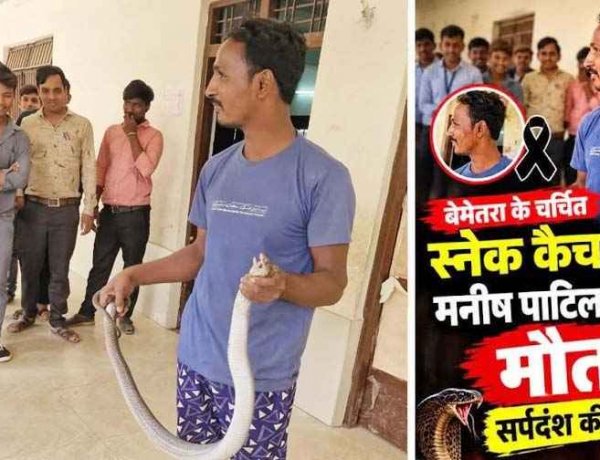 देर रात 112 टीम संग रेस्क्यू करने गए स्नेक कैचर की सांप के डसने से मौत, सांपों को बचाने वाले मनीष पाटिल की इलाज के दौरान गई जान, पसरा मातम