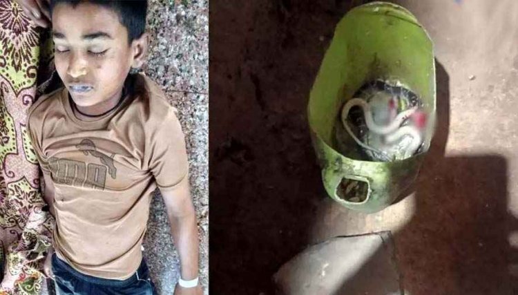 साइलेंट किलर का कहर: जहरीले करैत सांप के दो बार डसने से 13 वर्षीय मासूम बच्चे की मौत, परिवार में मचा कोहराम, सोते समय हुआ दर्दनाक हादसा