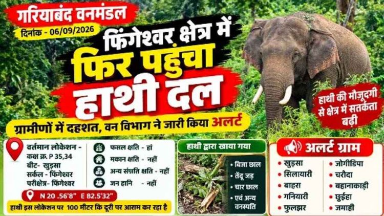 फिंगेश्वर क्षेत्र में फिर पहुंचा हाथी दल, आसपास के गांवों में बढ़ाई गई सतर्कता, ग्रामीणों में दहशत का माहौल. वन विभाग ने जारी किया अलर्ट