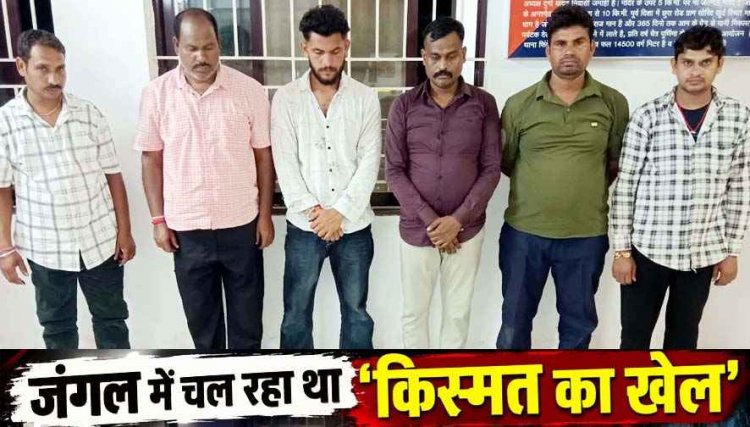 जंगल में 52 परियों की महफ़िल के बीच फिंगेश्वर पुलिस की बड़ी दबिश, 6 जुआरी रंगे हाथ गिरफ्तार, 62,500 नगद समेत मोबाइल और कई वाहन जब्त