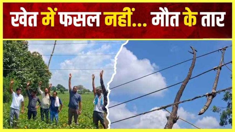 खेत में फसल बचाने लगाए करंट वाले तार की चपेट में आई फुटू निकालने गई 12 साल की बच्ची, मौके पर मौत, परिवार में पसरा मातम, कार्रवाई की मांग