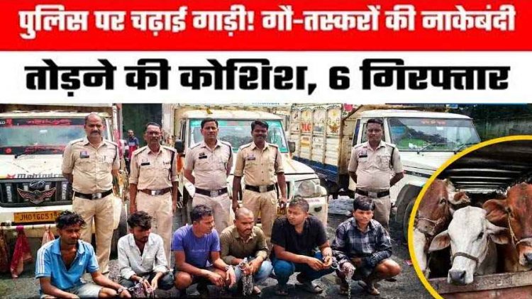 गौ तस्करों का दुस्साहस: पुलिस ने रोका तो पिकअप चढ़ाने की कोशिश, 17.50 लाख के माल समेत मर्डर का प्रयास कर रहे 6 आरोपी गिरफ्तार, वाहन जप्त