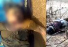 महानदी किनारे फिर मिली दो लाशें, झाड़ियों में फंसा मिला महिला का शव, शरीर पर मिले चोट के निशान!, इलाके में फैली सनसनी, शिनाख्त में जुटी पुलिस