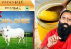 पतंजलि गाय घी के बैच में मिला पांच गुना ज्यादा सीसा, खाद्य विभाग का बड़ा एक्शन, असुरक्षित पाए जाने पर बिक्री पर लगी रोक, स्टॉक वापस मंगाने का निर्देश