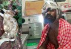गरियाबंद में तेंदुए के हमले से मवेशी लहूलुहान, इधर जंगल में गाय चराने गए युवक पर दो भालुओं का हमला, नाजुक हालत में रायपुर रेफर, बाघ भी खतरा बढ़ा