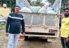 देवभोग में ओडिशा से अवैध धान परिवहन पर बड़ी कार्रवाई, पिकअप समेत 40 बोरी धान जब्त, तहसीलदार- आगे भी लगातार जारी रहेगी कार्रवाई