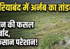 मौसम की एक करवट ने उजाड़ दी अन्नदाताओं की उम्मीदें, कटाई से पहले खेतों में धान की पकी फसलें पानी में डूबी, महीनों की मेहनत पर मंडराने लगा खतरा