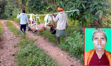 मैनपुर में सिस्टम की नाकामी: 5 दिन से लापता कमार बुजुर्ग का पेड़ पर लटकी मिली लाश, मुक्तांजलि वाहन नहीं मिला तो बल्ली के सहारे शव ले गए परिजन