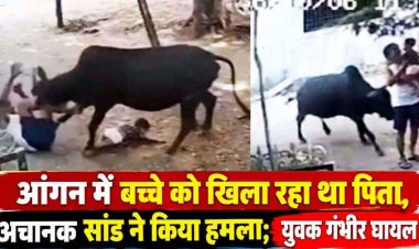 आवारा खूंखार सांड का आतंक, महिला समेत 15 लोगों पर हमला, बच्चे को गोद में लिए बुजुर्ग को दौड़ा-दौड़ाकर मारा, गंभीर घायल, मची अफरा-तफरी