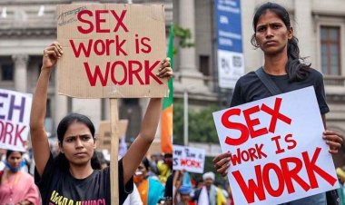 स्वेच्छा से देह व्यापार करना अपराध नहीं, बिलासपुर हाईकोर्ट ने 3 महिलाओं के केस में सुनाया बड़ा फैसला, कोर्ट में आरोपों से किया बरी