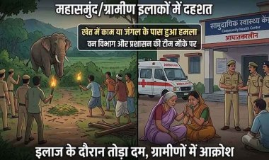 हाथी ने महिला पर किया जानलेवा हमला, इलाज के दौरान तोड़ा दम, इलाके में दहशत का माहौल, ग्रामीणों में आक्रोश, वन विभाग ने जारी किया एलर्ट