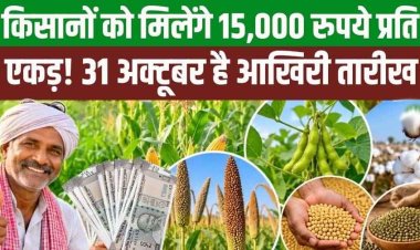छत्तीसगढ़ के किसानों को धान के स्थान पर अन्य खरीफ फसल लगाने पर मिलेगा 15 हजार रुपये प्रति एकड़!, 31 अक्टूबर तक होगा पंजीयन