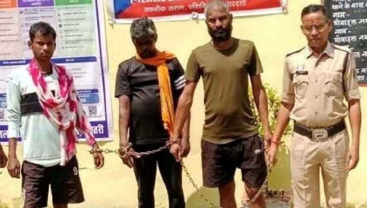 पशु तस्करी के खिलाफ कार्रवाई, धमतरी में 13 गाय, 6 बछड़े और 12 छोटे बच्चे बरामद, जंगल के रास्ते गोवंश ओडिशा ले जा रहे गरियाबंद के 3 आरोपी गिरफ्तार